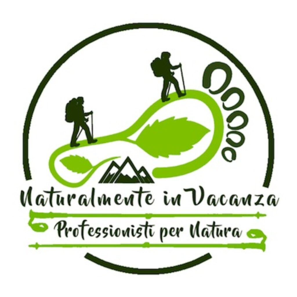 Logo Alessandra Masino