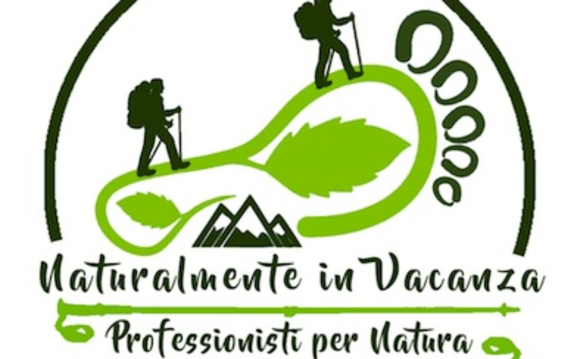 Logo Alessandra Masino