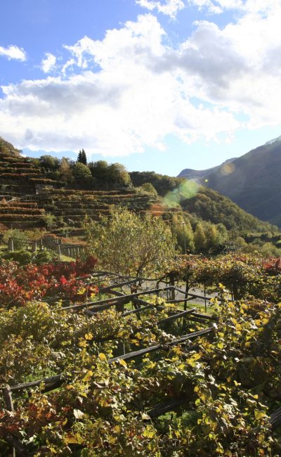 gastronomia_il paniere dei prodotti locali